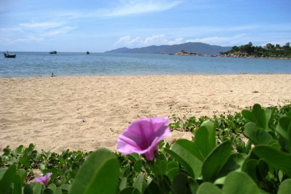 Tiếng gọi biển cả C&agrave; N&aacute; 